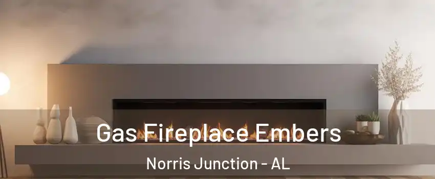 Gas Fireplace Embers Norris Junction - AL