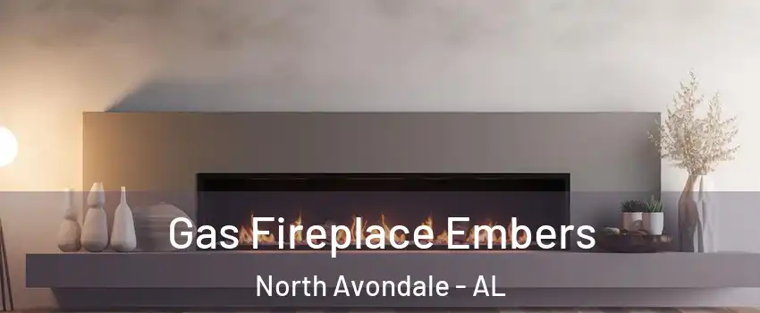 Gas Fireplace Embers North Avondale - AL