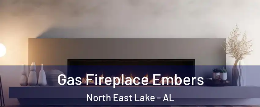 Gas Fireplace Embers North East Lake - AL