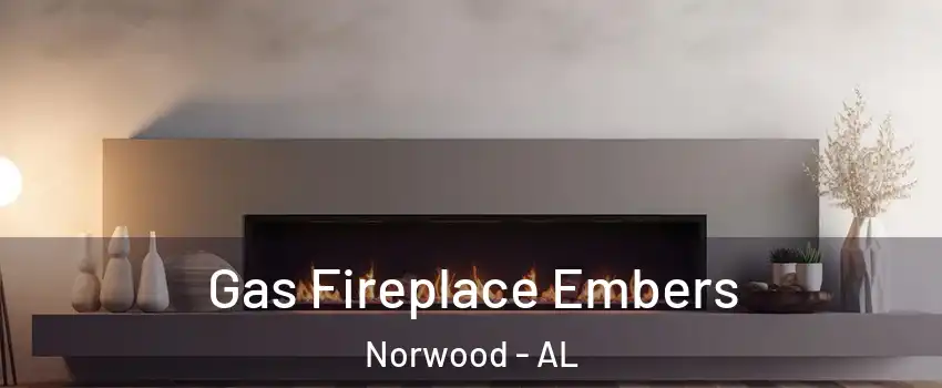 Gas Fireplace Embers Norwood - AL