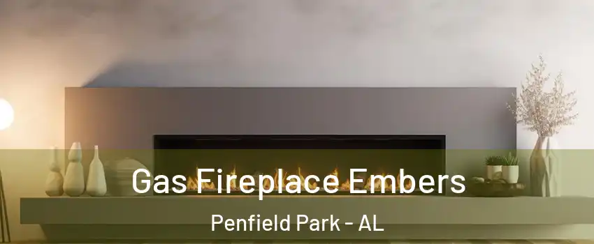 Gas Fireplace Embers Penfield Park - AL
