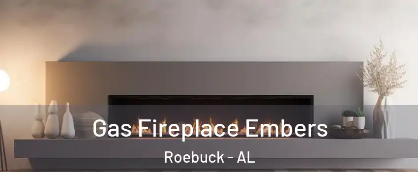 Gas Fireplace Embers Roebuck - AL