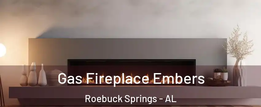 Gas Fireplace Embers Roebuck Springs - AL