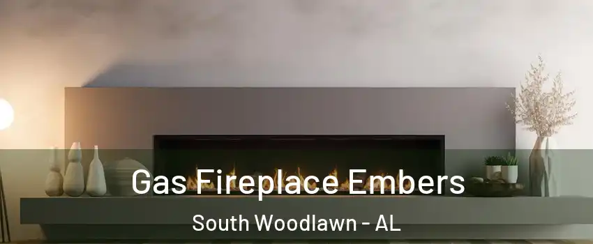 Gas Fireplace Embers South Woodlawn - AL