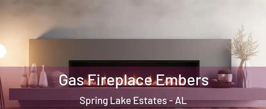 Gas Fireplace Embers Spring Lake Estates - AL