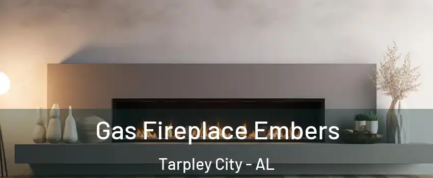 Gas Fireplace Embers Tarpley City - AL