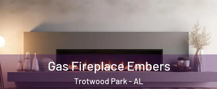 Gas Fireplace Embers Trotwood Park - AL