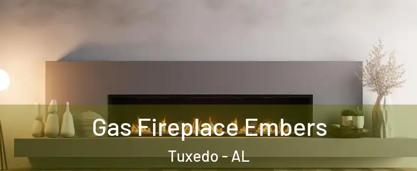 Gas Fireplace Embers Tuxedo - AL