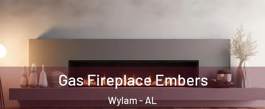 Gas Fireplace Embers Wylam - AL