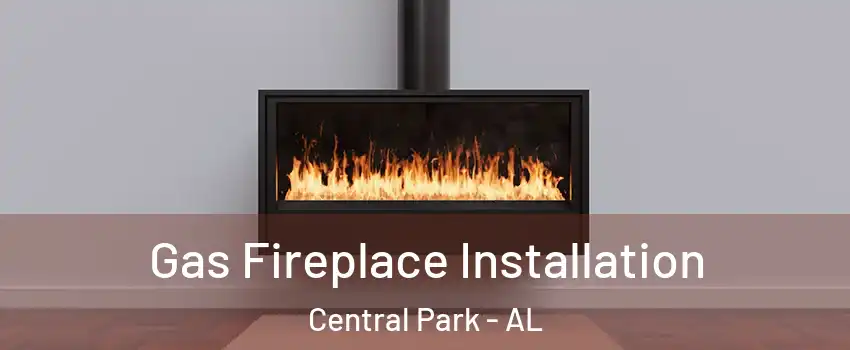 Gas Fireplace Installation Central Park - AL