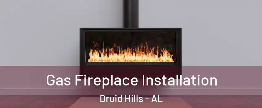 Gas Fireplace Installation Druid Hills - AL