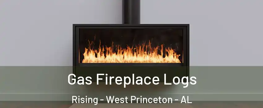 Gas Fireplace Logs Rising - West Princeton - AL