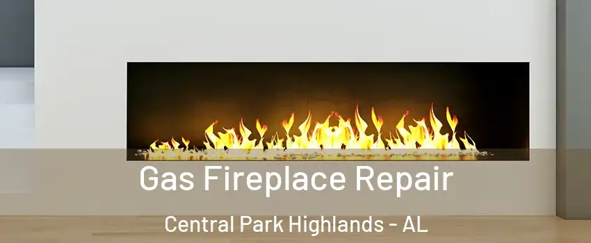Gas Fireplace Repair Central Park Highlands - AL