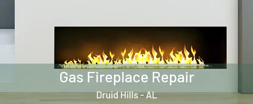 Gas Fireplace Repair Druid Hills - AL