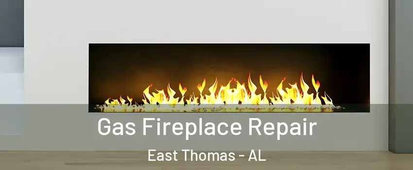 Gas Fireplace Repair East Thomas - AL