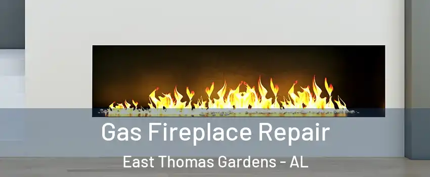Gas Fireplace Repair East Thomas Gardens - AL