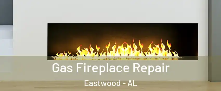 Gas Fireplace Repair Eastwood - AL