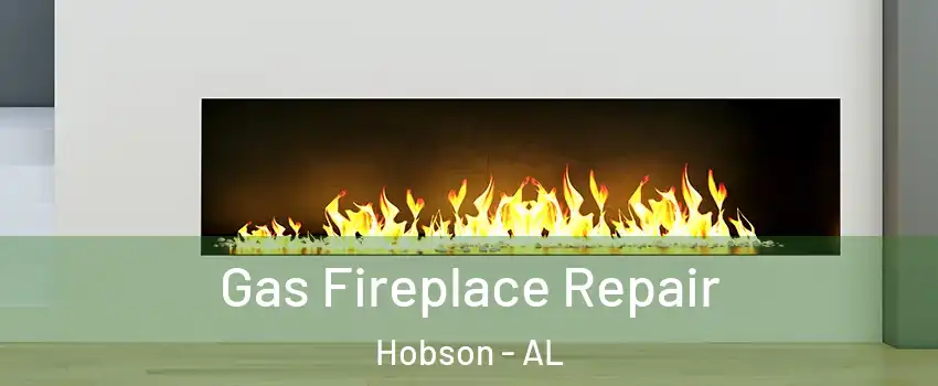 Gas Fireplace Repair Hobson - AL