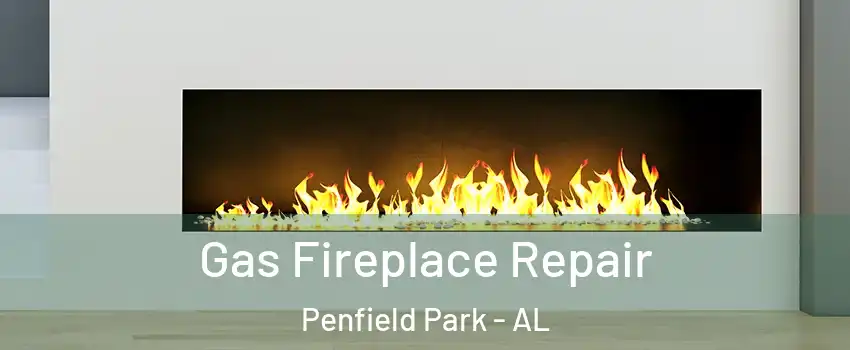 Gas Fireplace Repair Penfield Park - AL