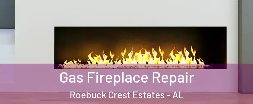 Gas Fireplace Repair Roebuck Crest Estates - AL