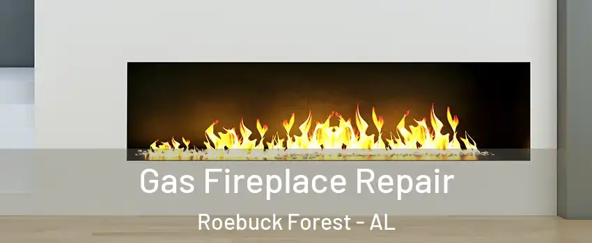 Gas Fireplace Repair Roebuck Forest - AL