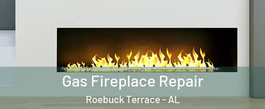 Gas Fireplace Repair Roebuck Terrace - AL