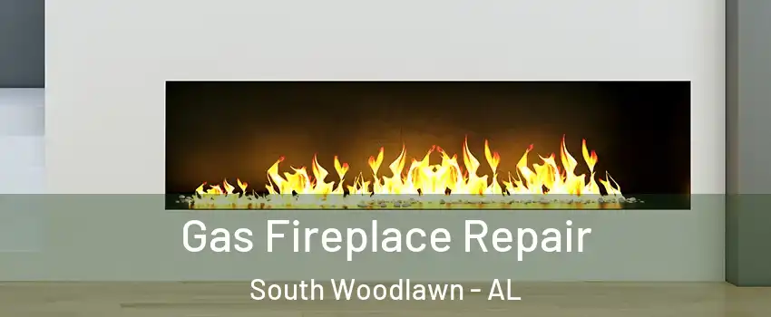 Gas Fireplace Repair South Woodlawn - AL