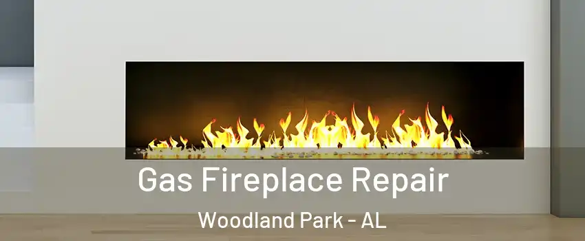 Gas Fireplace Repair Woodland Park - AL