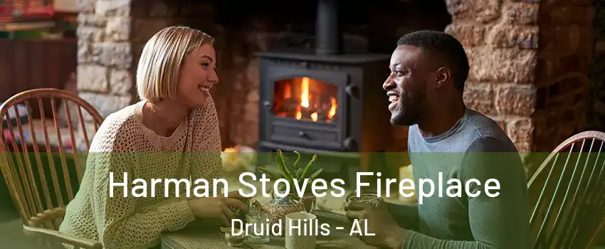 Harman Stoves Fireplace Druid Hills - AL