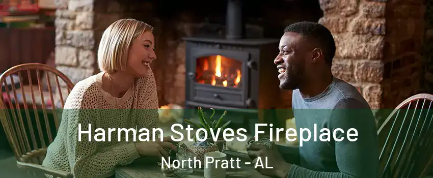 Harman Stoves Fireplace North Pratt - AL