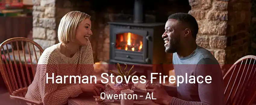 Harman Stoves Fireplace Owenton - AL