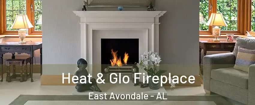 Heat & Glo Fireplace East Avondale - AL