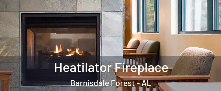 Heatilator Fireplace Barnisdale Forest - AL