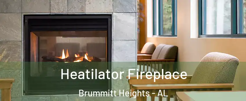Heatilator Fireplace Brummitt Heights - AL