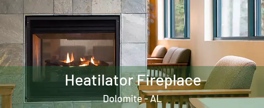 Heatilator Fireplace Dolomite - AL