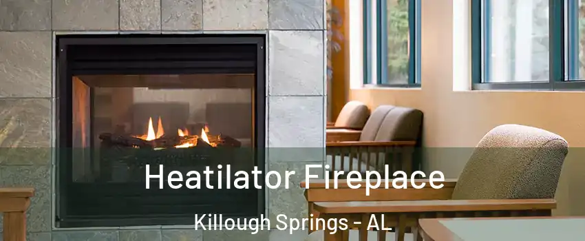 Heatilator Fireplace Killough Springs - AL