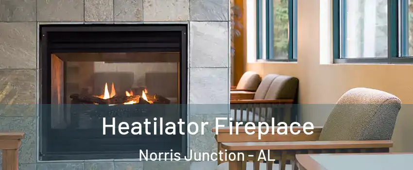 Heatilator Fireplace Norris Junction - AL