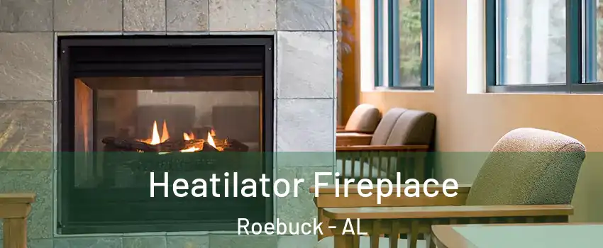Heatilator Fireplace Roebuck - AL