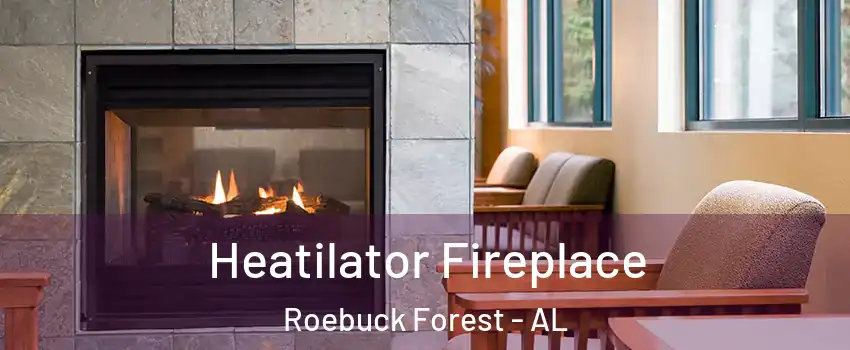 Heatilator Fireplace Roebuck Forest - AL