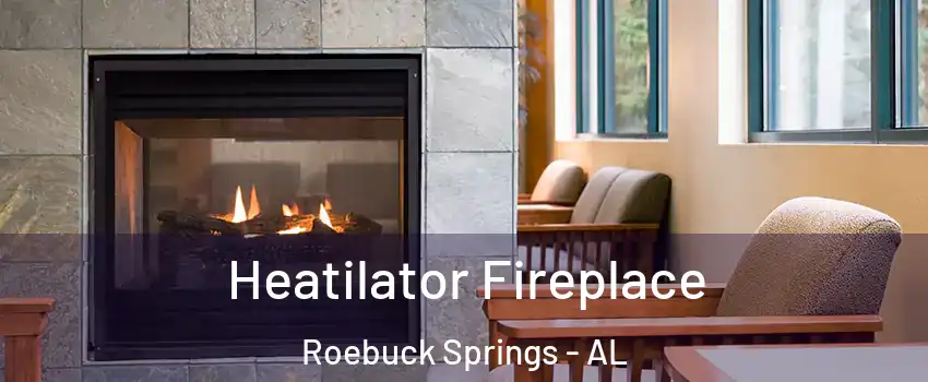 Heatilator Fireplace Roebuck Springs - AL