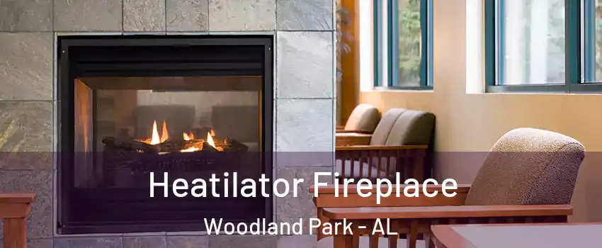 Heatilator Fireplace Woodland Park - AL