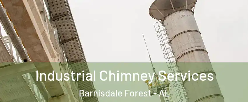 Industrial Chimney Services Barnisdale Forest - AL