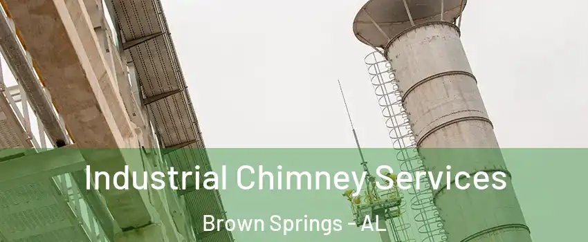 Industrial Chimney Services Brown Springs - AL