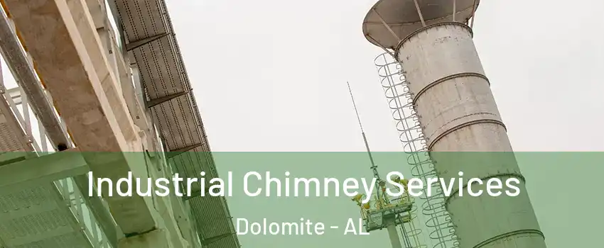 Industrial Chimney Services Dolomite - AL