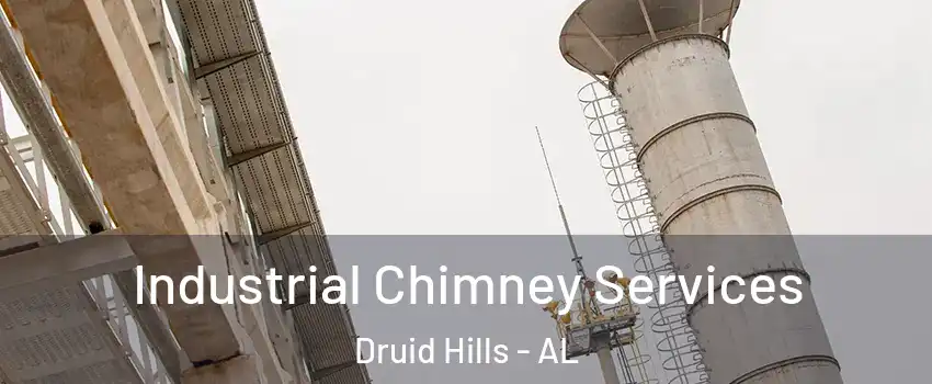 Industrial Chimney Services Druid Hills - AL