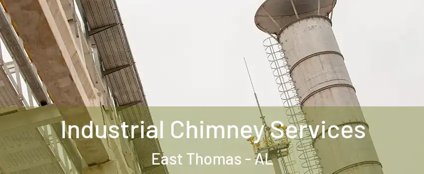 Industrial Chimney Services East Thomas - AL