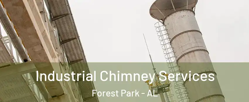 Industrial Chimney Services Forest Park - AL