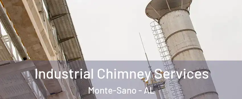 Industrial Chimney Services Monte-Sano - AL