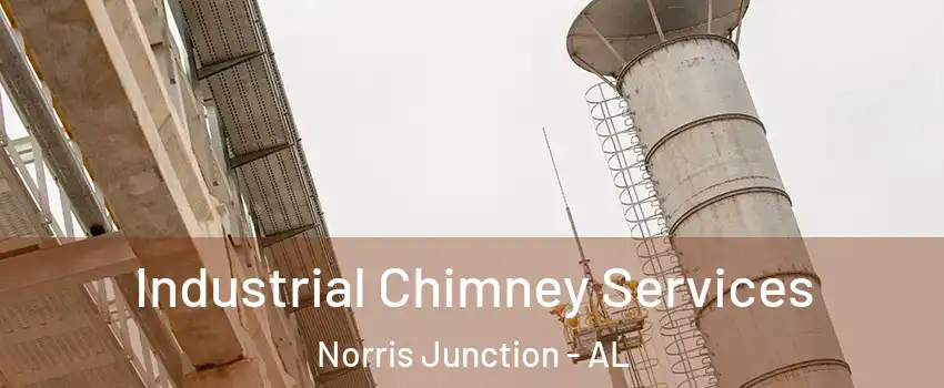 Industrial Chimney Services Norris Junction - AL