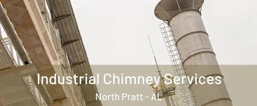 Industrial Chimney Services North Pratt - AL